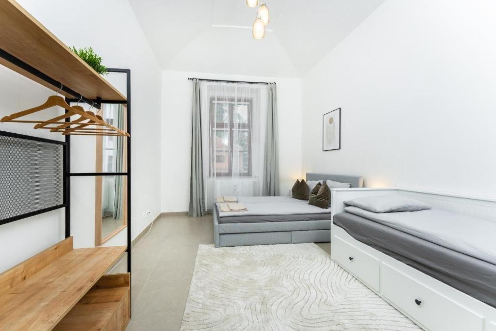 Appartamento Nice Apartman In New Town Praga